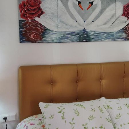 Apartamentos Candil By Mila Prieto El Bosque Kültér fotó